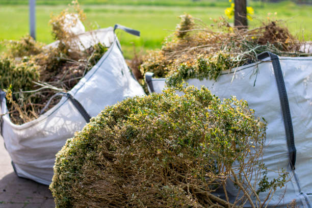 Best Shed Removal  in Echelon, NJ